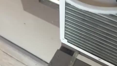 Brats Got A Little Crispy