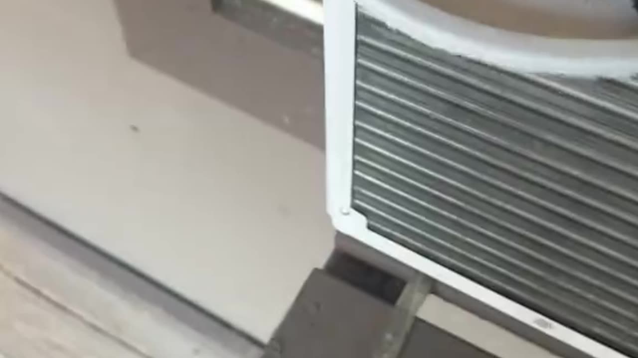 Brats Got A Little Crispy