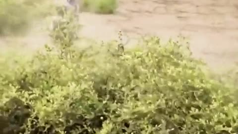 � motorcycle 😂 Motorcycle Mayhem: Help Arrives! | FunFM