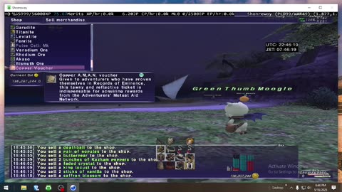 Playing Final Fantasy XI Online