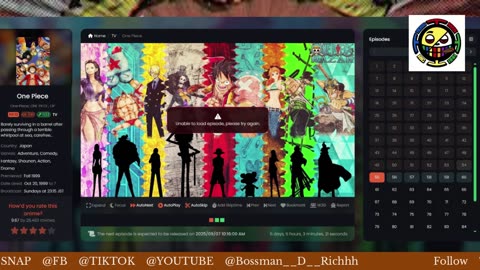 ONE PIECE MARATHON TUNE IN 100