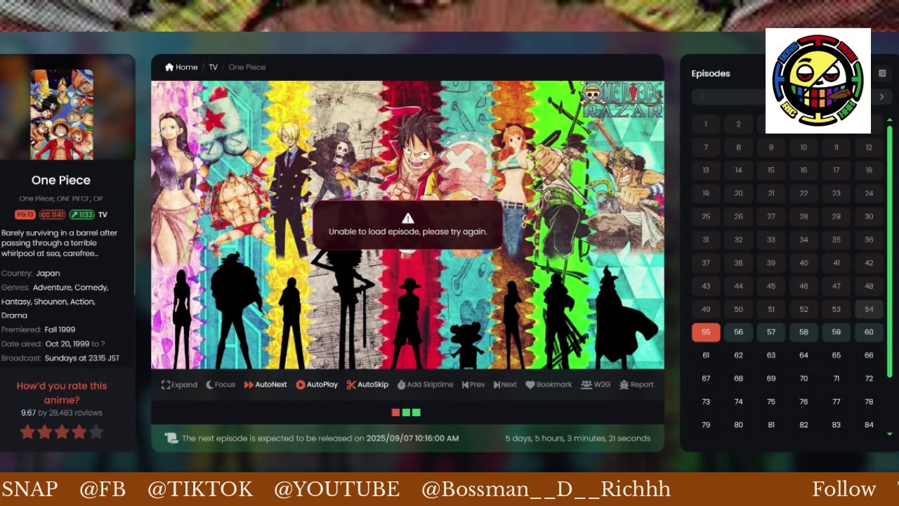 ONE PIECE MARATHON TUNE IN 100