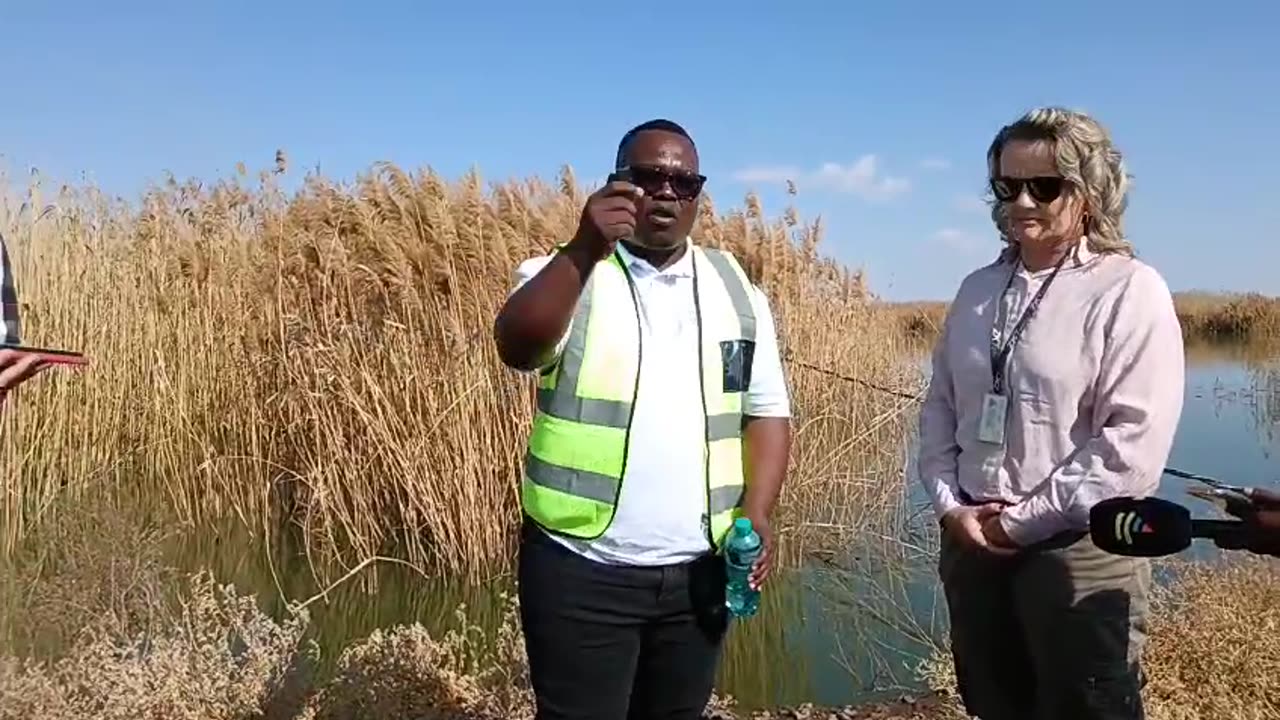 Kamfersdam