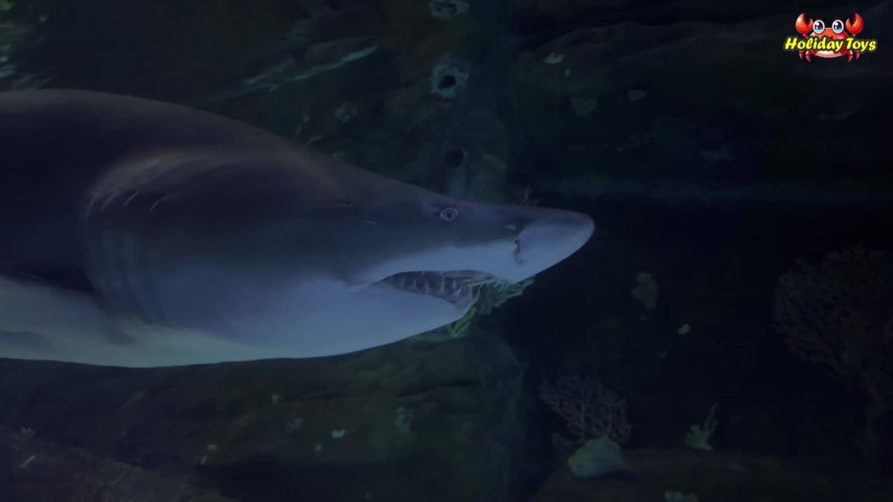 Mosasaurus Dives in the Deep Sea in Search of Crocodiles