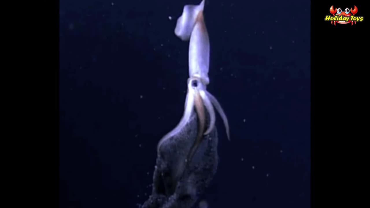Make Slime to Play with Sea Animals on the Beach