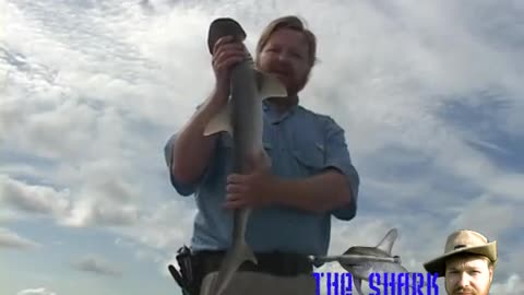 The Myth of Tonic Immobility in Sharks