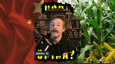 CHINA V USDA?