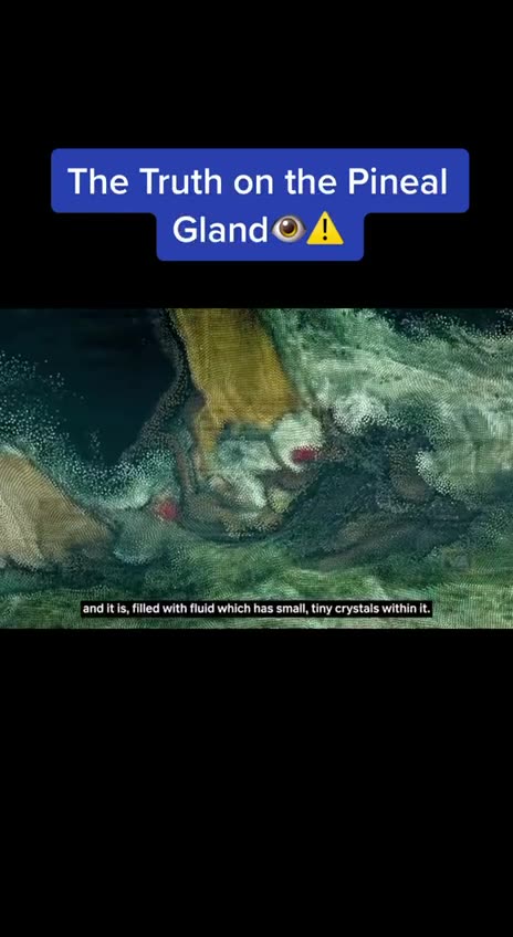 The Truth on the Pineal Gland