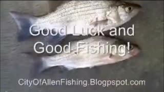 TBT: Jon Boat Trolling for White Bass on Lake Lavon