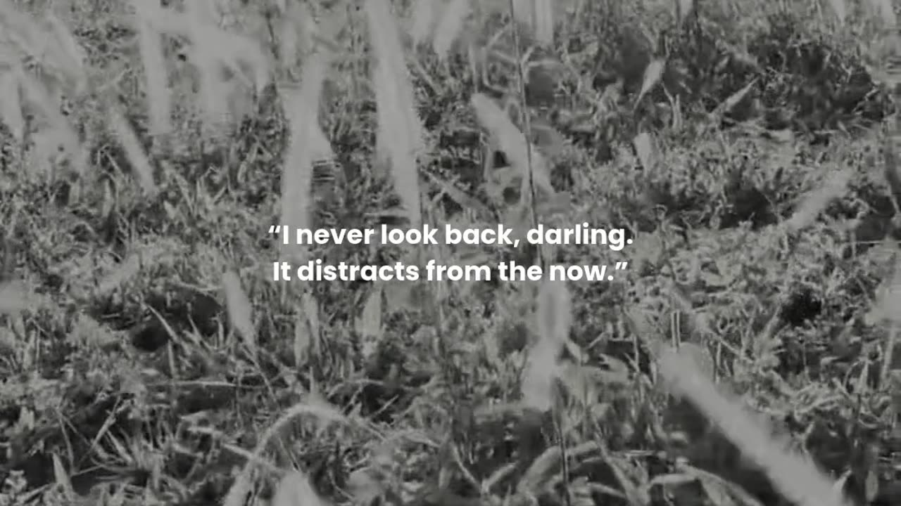 I never look back, darling. It distracts from the now.