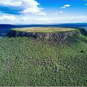 The Book of Enoch tells us why these massive trees were cut, and exactly who cut them