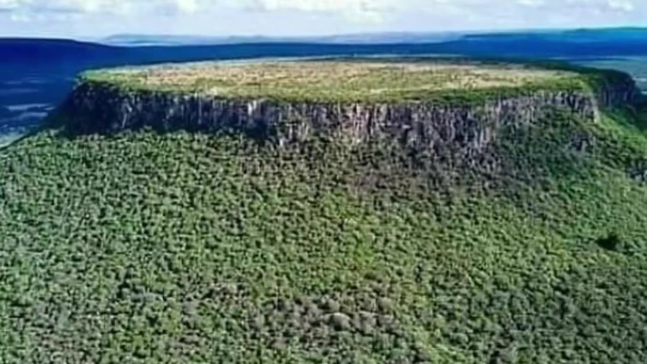 The Book of Enoch tells us why these massive trees were cut, and exactly who cut them