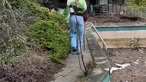 Viral: 6 month abandoned home update..