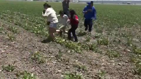 WATCH: Illegal farm workers & protesters scatter after demonstration prompted authorities to deploy