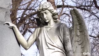 The Gnostic Code_ How the Archons Hijacked Reality and WHY!