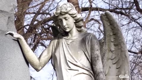 The Gnostic Code_ How the Archons Hijacked Reality and WHY!