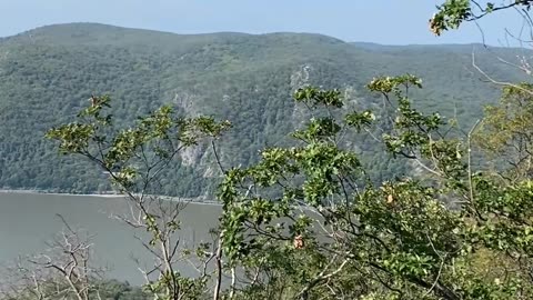 GORGEOUS MOUNTAIN AND RIVER VIEW!