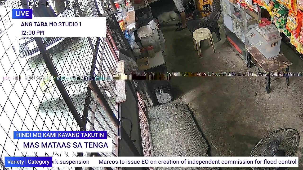 Mitsubishi Xpander 2019 Live