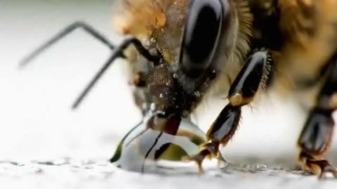 Small world under magnifying glass
