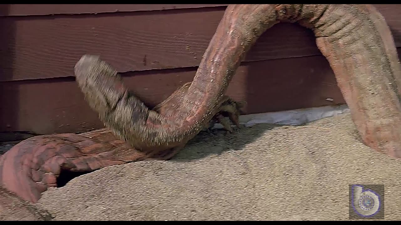 𝖳𝗋𝖾𝗆𝗈𝗋𝗌 𝖴𝗉 𝖴𝗇𝗂𝗏𝖾𝗋𝗌𝖺𝗅𝗌 𝖠$$