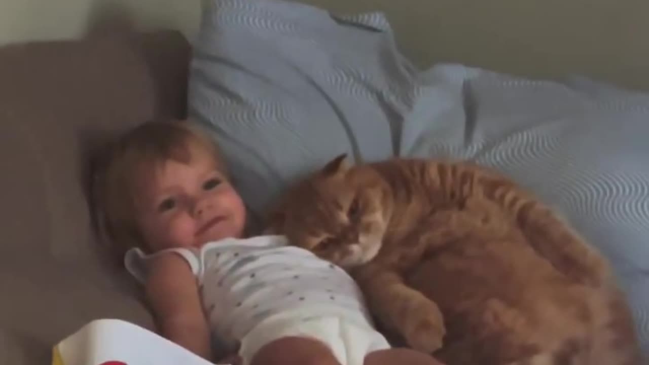 Cat and baby😸🐈