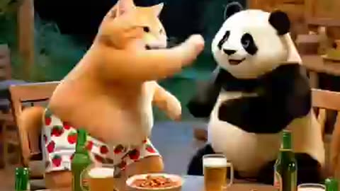 Cute Cat Funny Video You Must Enjoy.