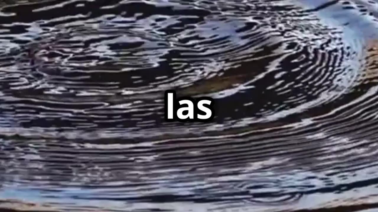 ¿Listo para crear tu realidad? Domina el arte del pensamiento y la manifestación consciente.