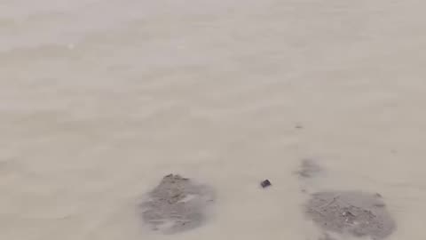 https://youtu.be/TsfGqE2fG_g?si=hKLDjw4D72ANXZpx