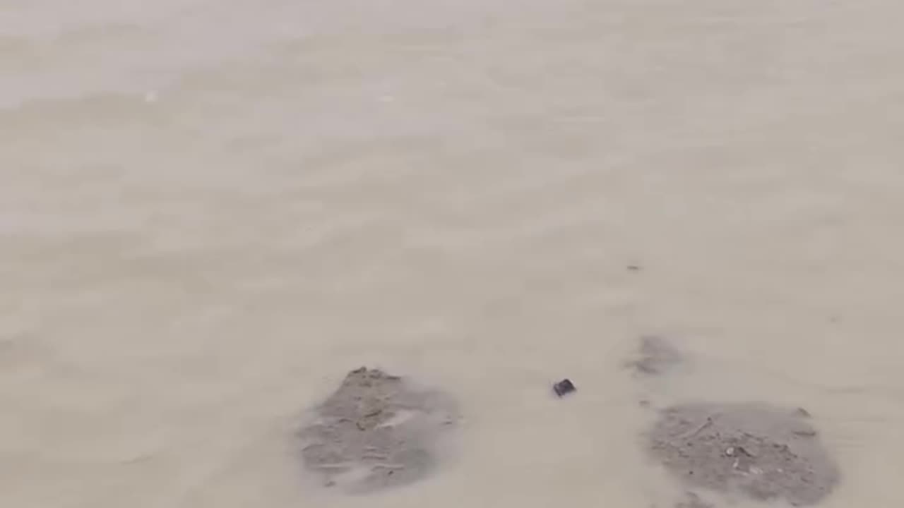 https://youtu.be/TsfGqE2fG_g?si=hKLDjw4D72ANXZpx