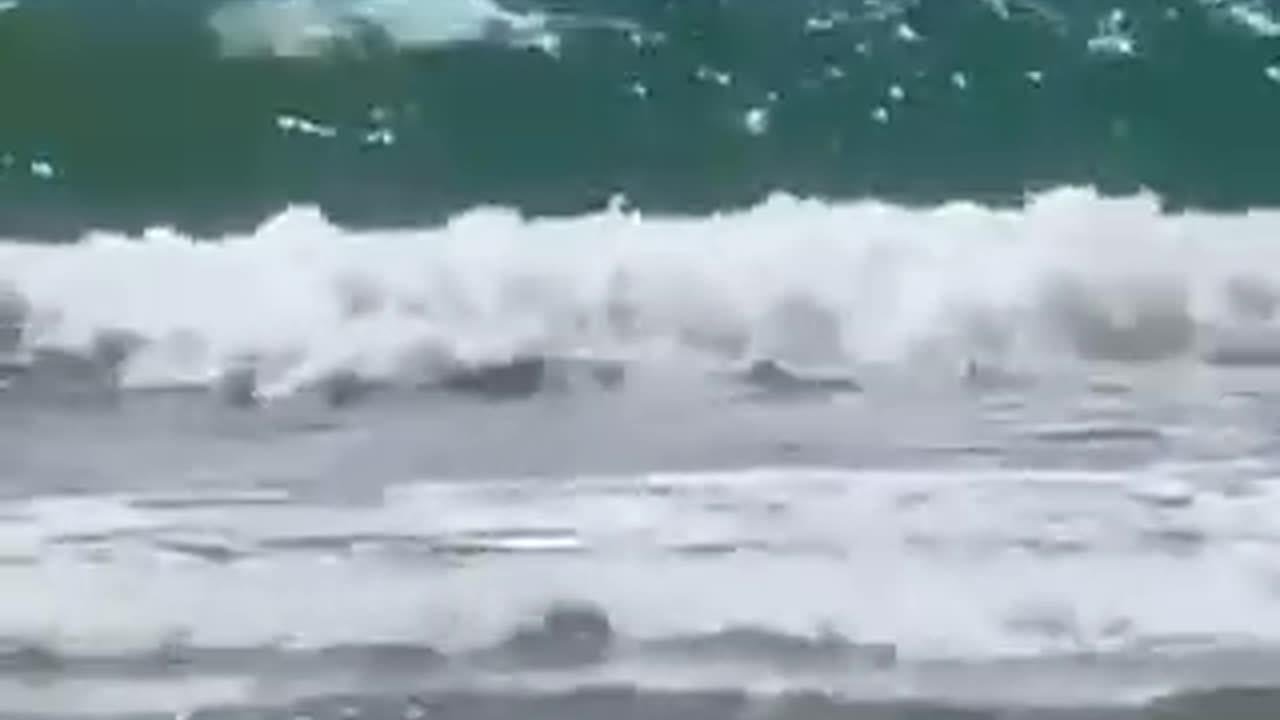🇮🇱 -- DEVELOPING: VIDEO: Sharks reportedly attacked a diver off the Hadera coast in Israel.