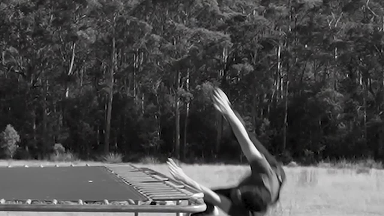 what Animals look like parkour