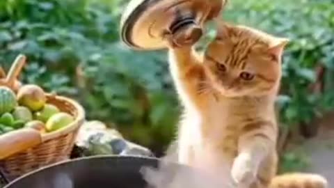 Cooking cat 🔪😺 is so funny #cooking #cat 🐈🔪😺🔪🔪♥️❤️💓🧬👍🙏