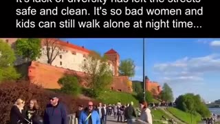 EU Claims Poland cannot survive without diversity! No crime rapes bombings...