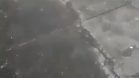 Someone took her out of the tomb