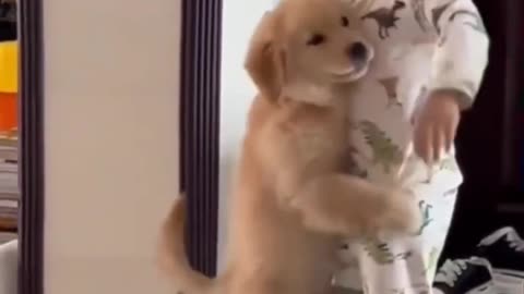 Fluffy Adventures | Watch These Funny Cats and Kittens 🐱🔥