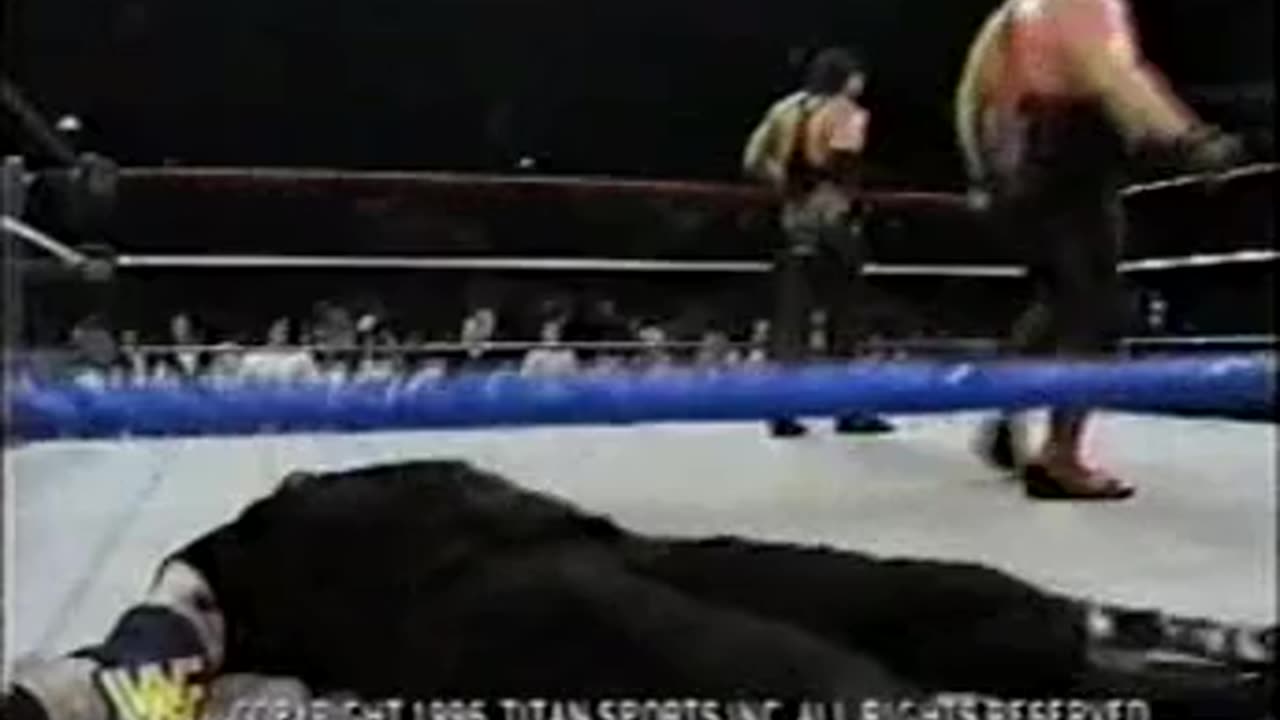 WWF Superstars Dec 22 1996