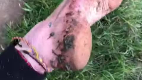 Barefoot muddy walk 👣
