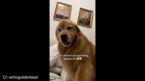 “Bad mood? Not on this channel! 😂😂😂😂😂😂