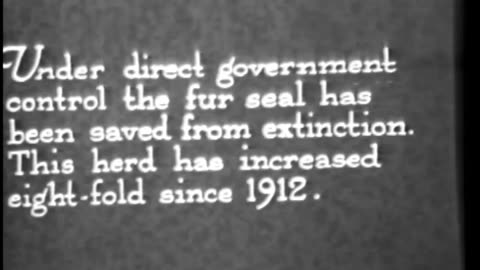 FUR INDUSTRY OF THE U.S., THE - FUR INDUSTRY OF THE U.S., THE - 33-365-r1