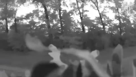 Intense Footage of a Ukrainian Marine Raid on Occupied Sumy Oblast