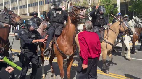 FAFO What Happens When You Touch an LAPD Horse