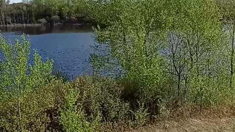 Lake Pasture
