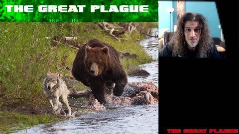 Thoughts on our Death Cult...