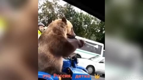 1 Hour Offensive Memes YLYL Challenge 🤣 Try Not To Laugh!