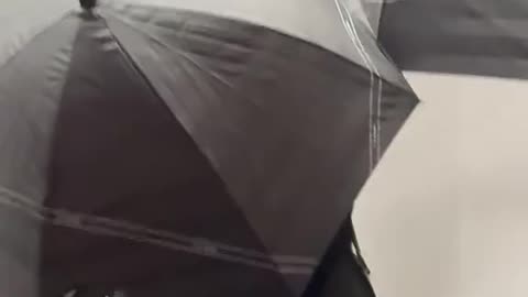 A mystery guest had an EVENTFUL trip to their car