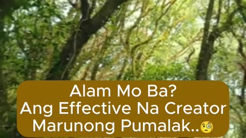 Ang Effective Na Creator