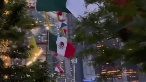 Mexican navy ship carrying over 270 people hit the Brooklyn Bridge.