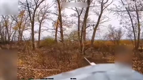 Daily slaughter of Ukrainian cattle in various directions.