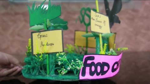 BILAL PUBLIC SCHOOL [ Science Project For #Class IV Food Chain ] (Promo)