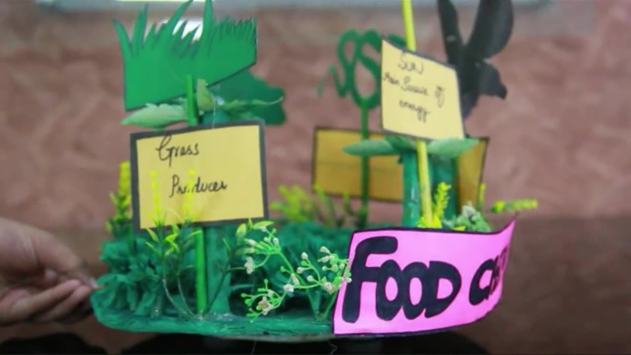 BILAL PUBLIC SCHOOL [ Science Project For #Class IV Food Chain ] (Promo)